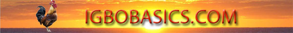 Igbo Basics Publications